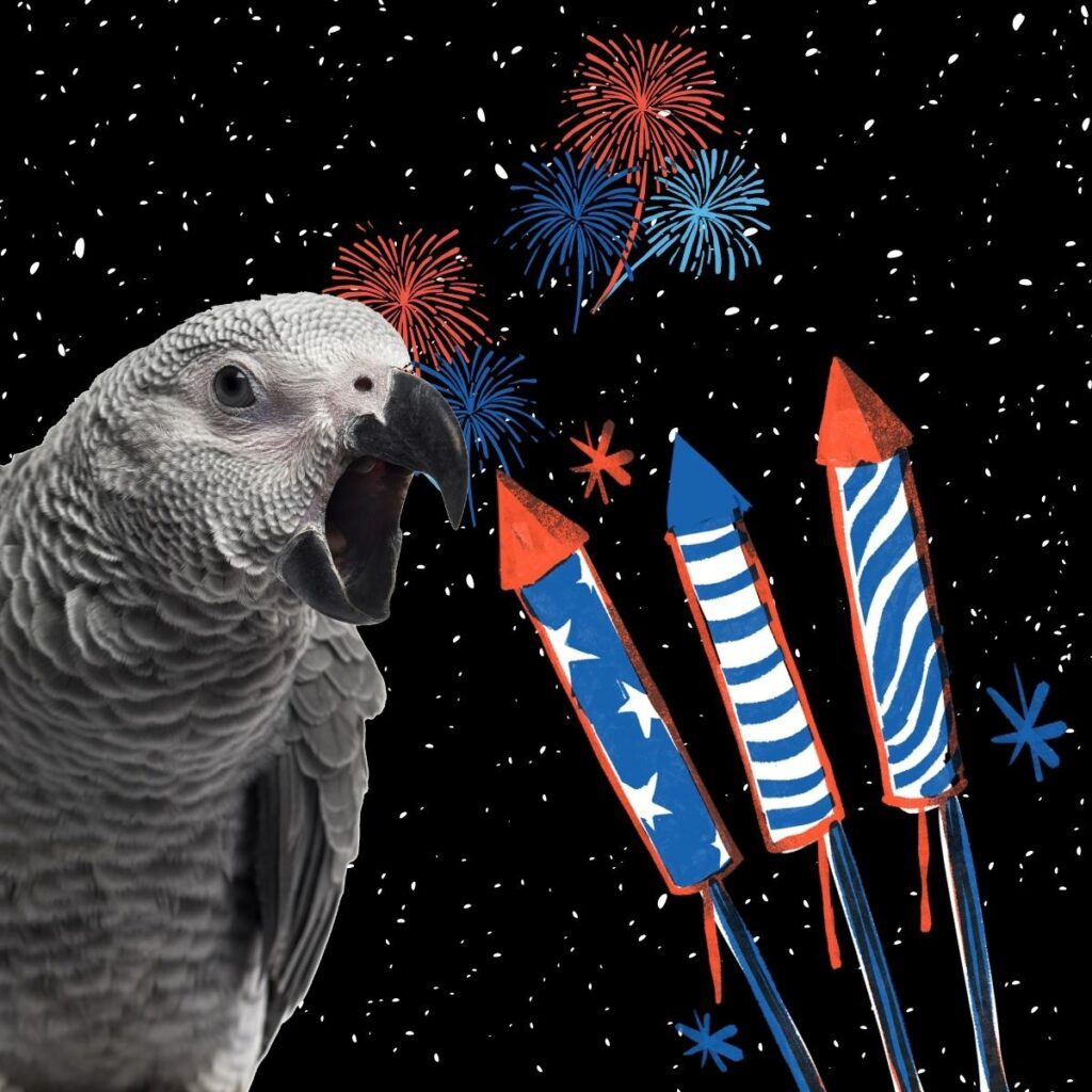 New Year’s Eve fireworks impact millions of birds